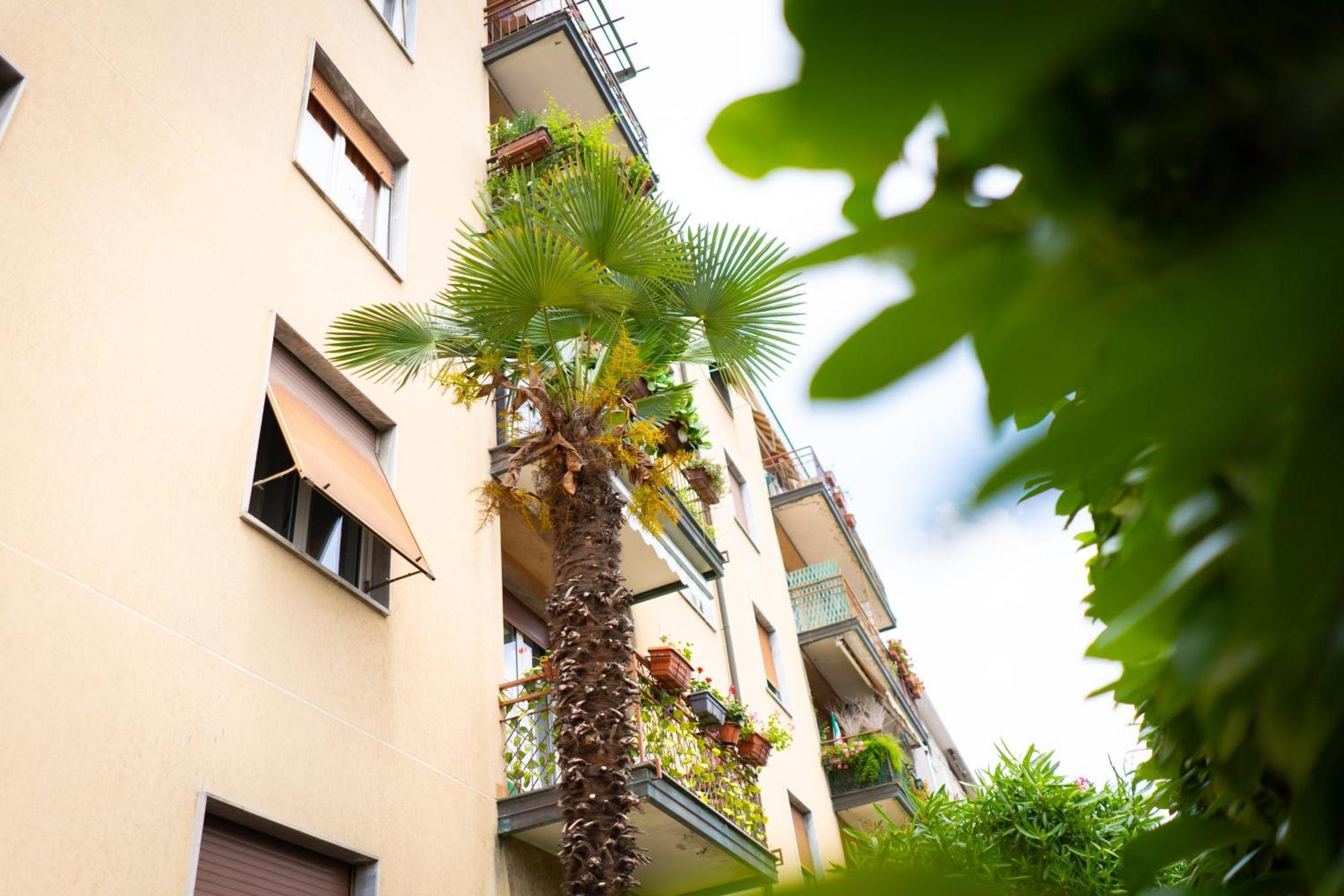Como Lake Turati Residence Exterior foto
